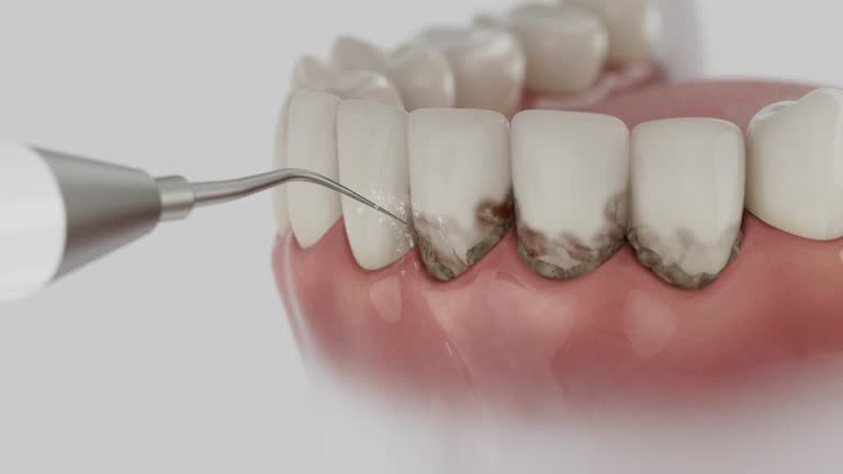 Reliable Dental contractor in Rathdrum, ID by Dentist Open Now